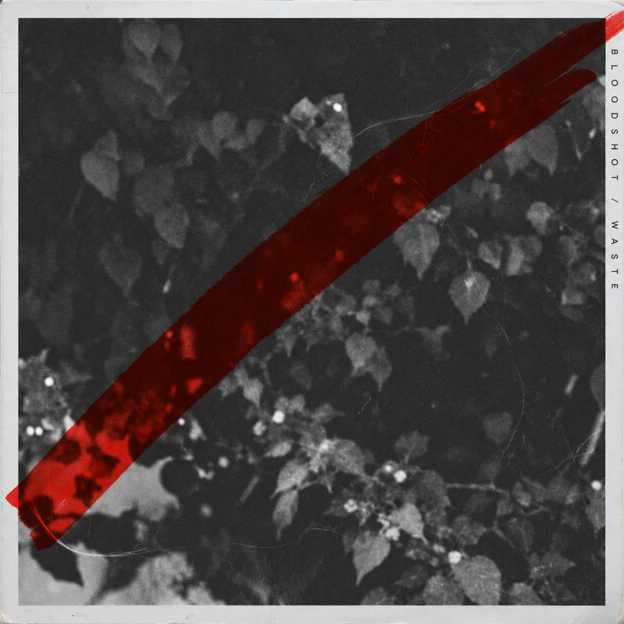 Bloodshot Waste