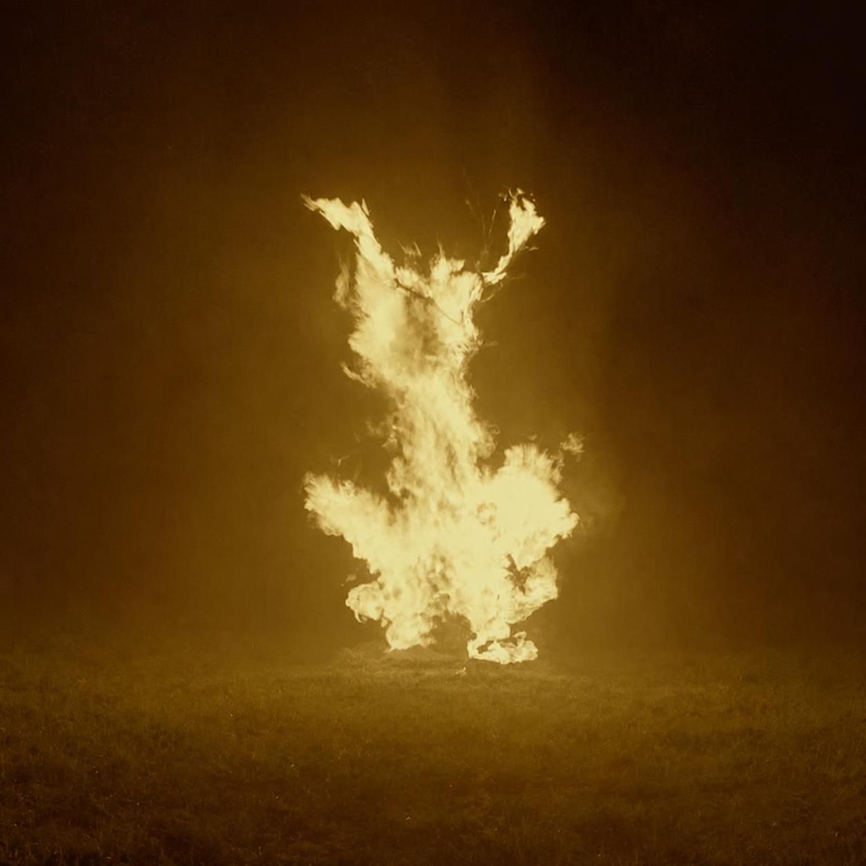 Daughter from Hell