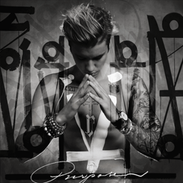 What Do You Mean? (Remix)