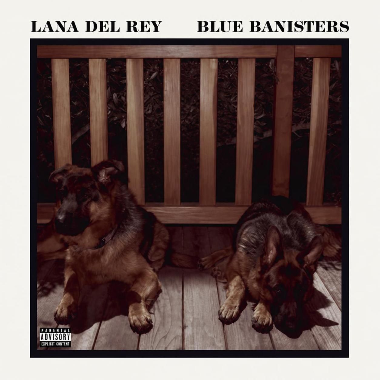 Blue Banisters