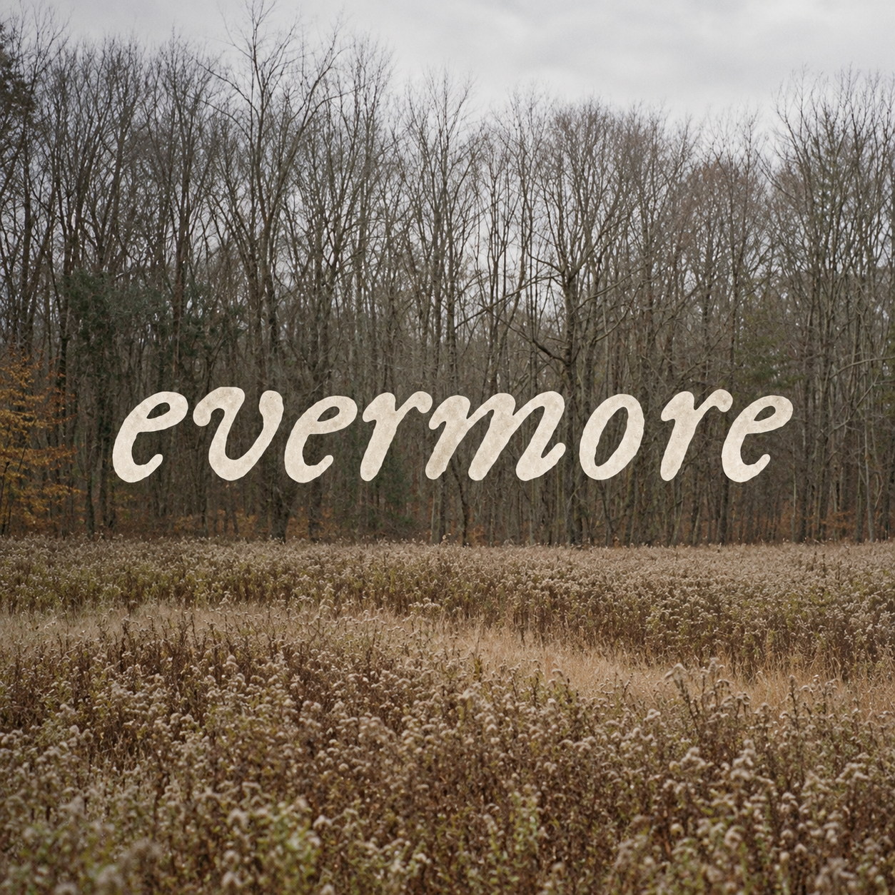 Evermore (deluxe version)